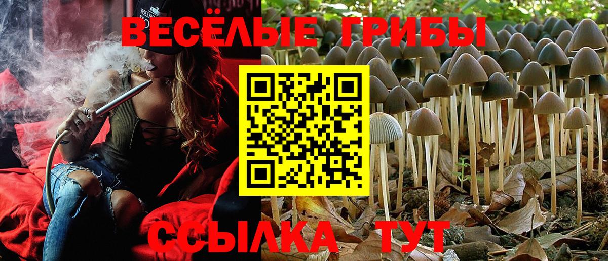 Псилоцибиновые грибы мухоморы  Вход с VPN  Каменка 